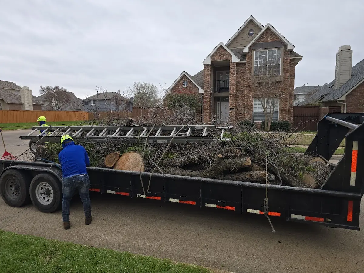Expert Tree Fertilization with proper safety equipment in Lupton